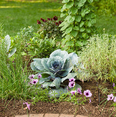 What Is a Formal Potager? • Gardenary