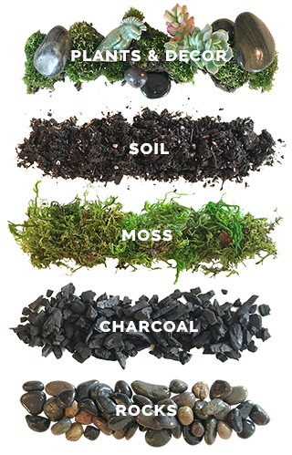 Terrarium soil black - Laroy Group