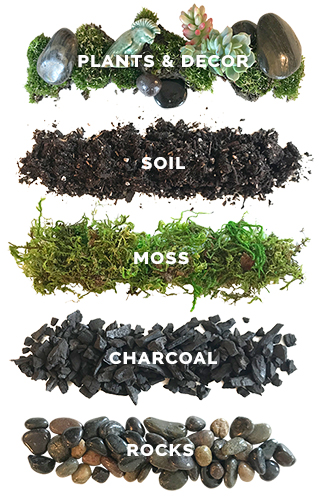 Terrarium Soil