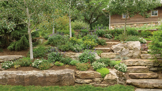 Landscape Gardening hub link image