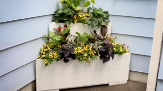 corner planter link image