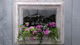 frame planter link image