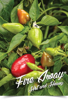 fire away hot and heavy pepper variety image