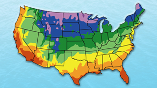 southwest plants by climate