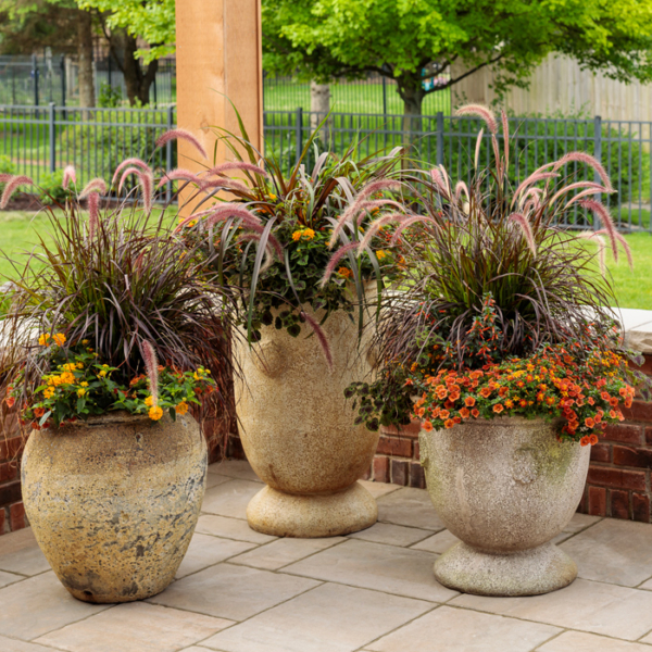 MultiSeason Grass Container Proven Beauty