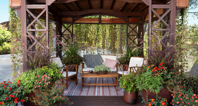 gazebo with long vines creating privacy walls