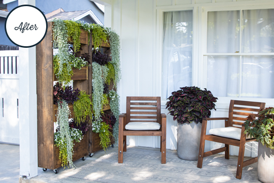 wall planters