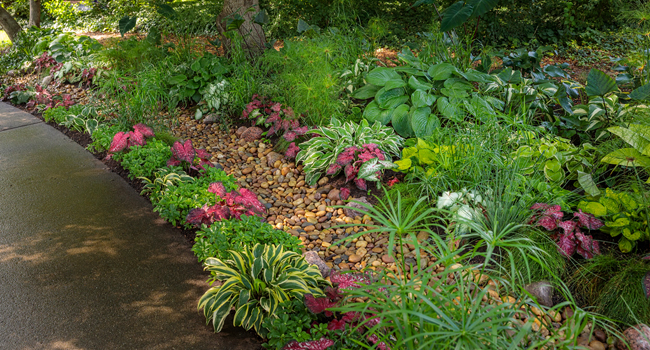 https://beauty.provenwinners.com/wp-content/uploads/2022/03/rain-garden-feature-hub-img.jpg