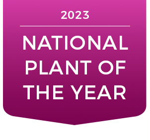 NPOY 2023 decal