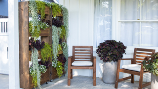 privacy wall planters