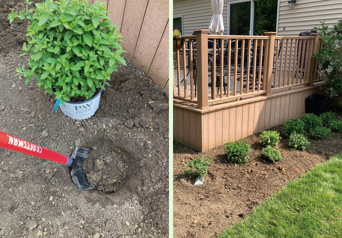 digging holes for your plants