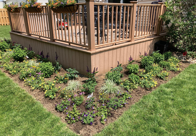planted garden bed