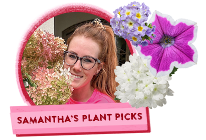 Samantha's Plant Picks