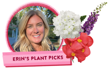 Erin's plant picks