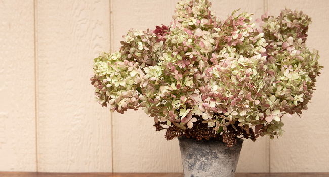 diy preserved hydrangeas