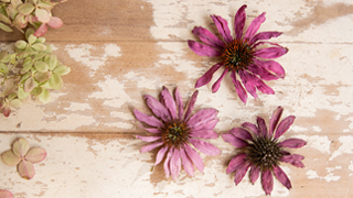 diy silica dried flowers