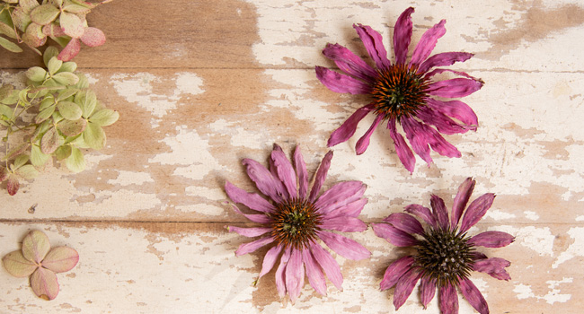 silica dried flowers