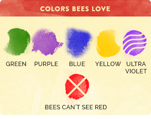 bee color chart