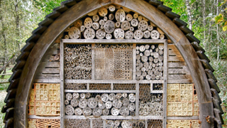 mason bee project link