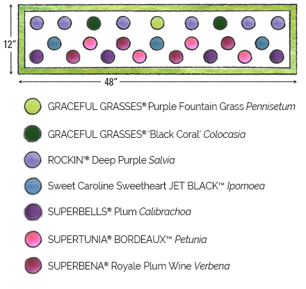 New-England-Boysenberry-diagram-2025