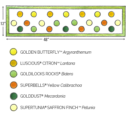 Sunny-Skies-Diagram-2025